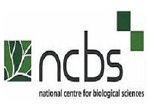 NCBS Recruitment 2021